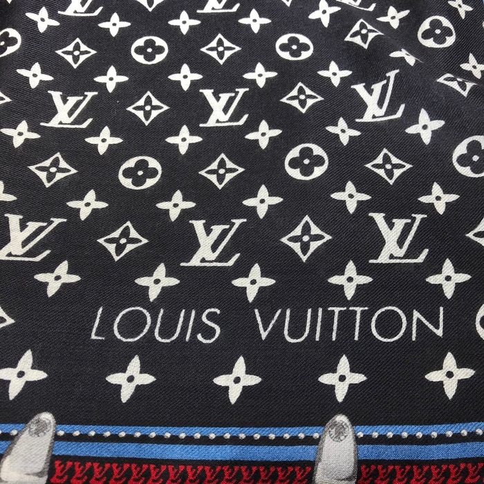 Louis Vuitton Scarf LV00096